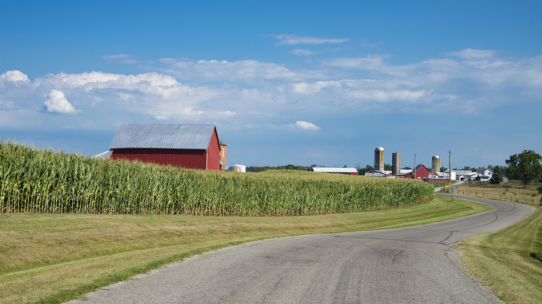 Road in Rural Ohio